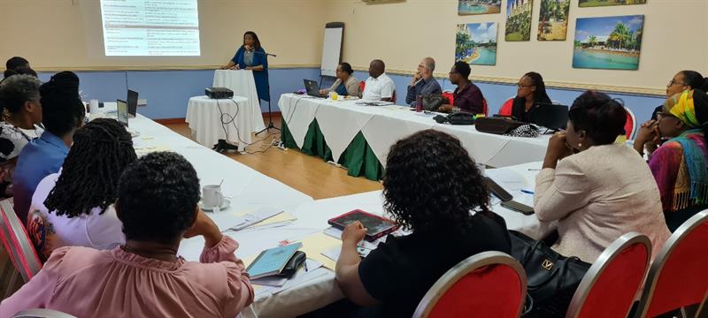 Web Portal of the Government of Saint Lucia