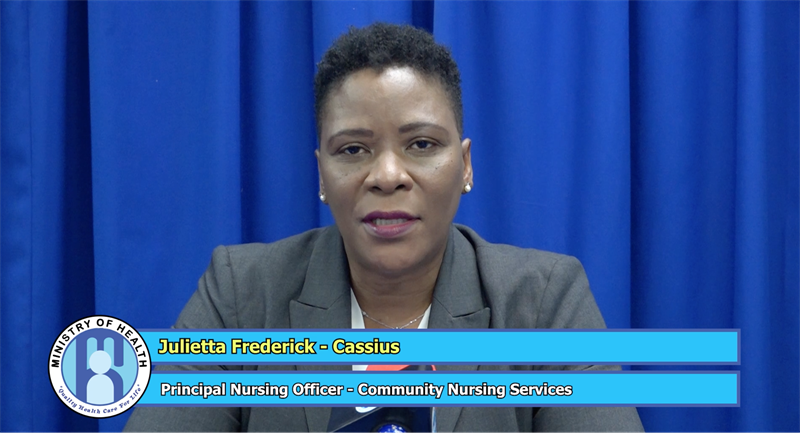 Web Portal of the Government of Saint Lucia